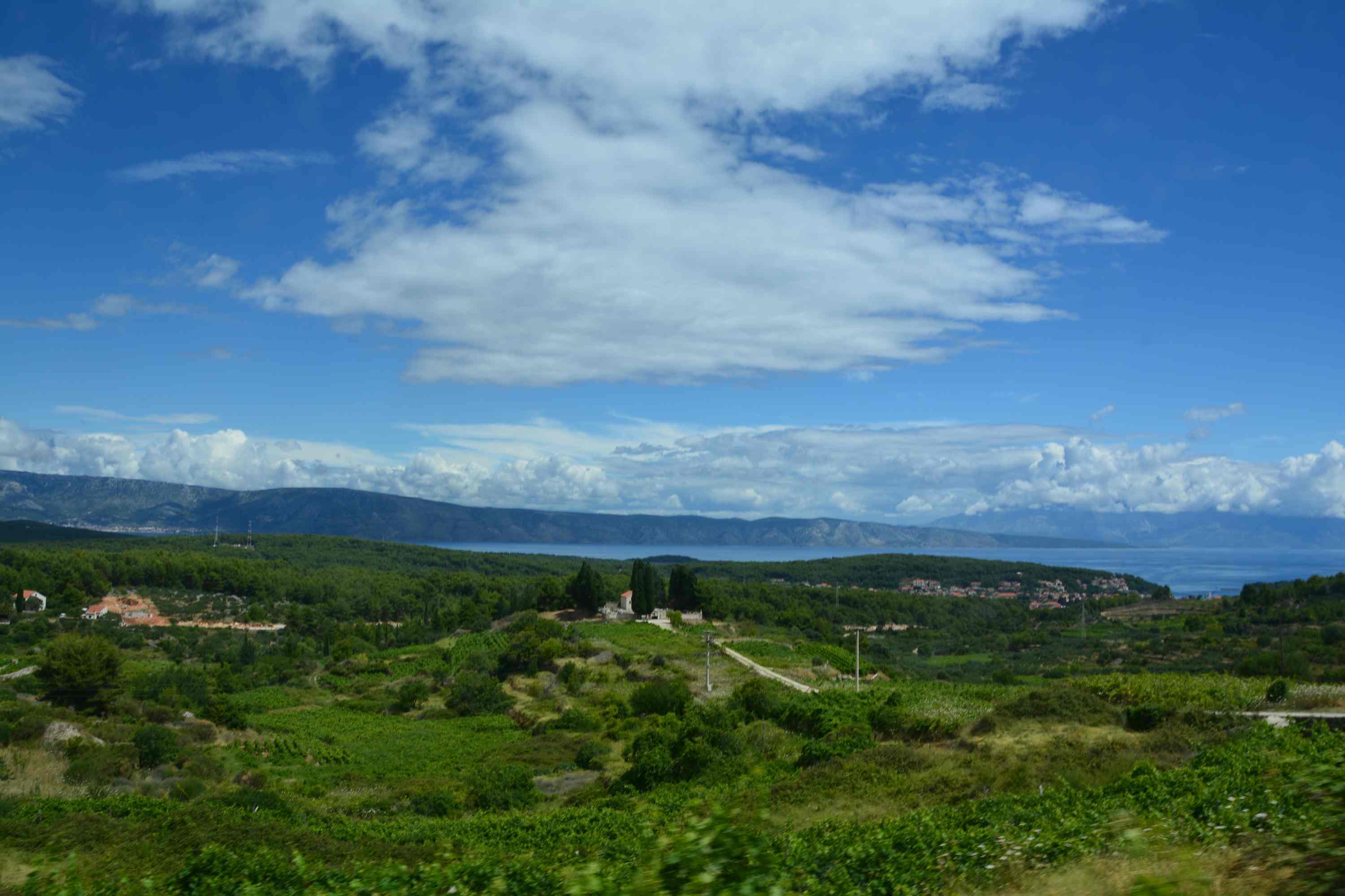 DSC_1062